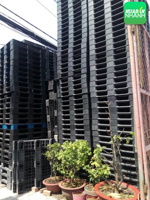 Cần mua pallet nhựa tại TPHCM giá rẻ, hàng nhập khẩu, giá trị sử dụng đến 99%