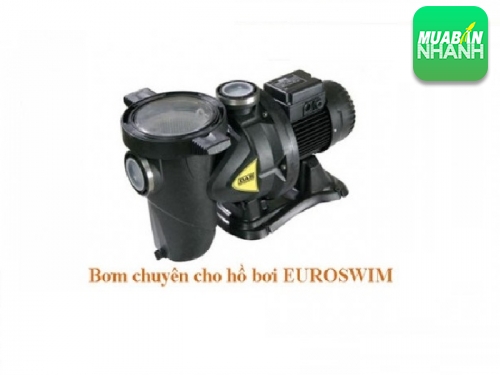 Máy bơm hồ bơi hiện nay giá bao nhiêu?