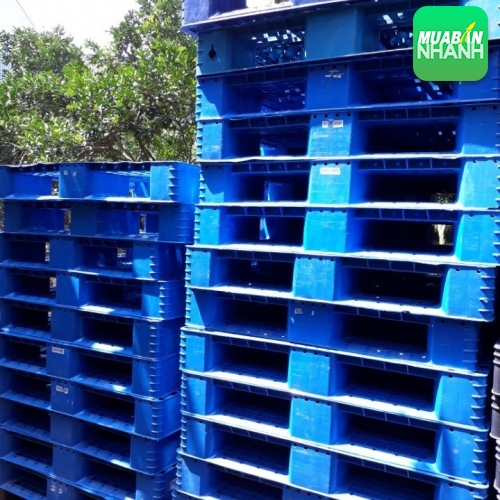 Pallet nhựa mới 100%