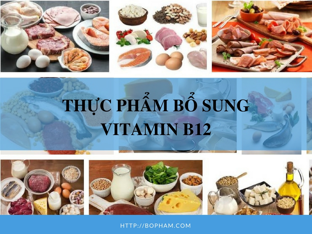Top 10 thực phẩm bổ sung vitamin B12